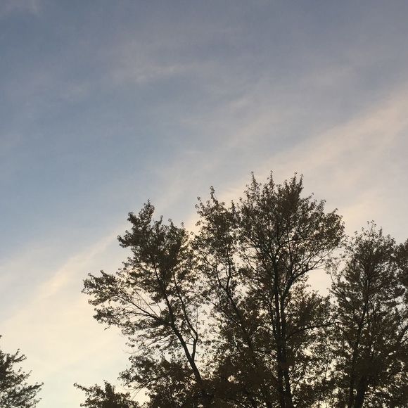 sonoma365